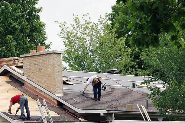 Best Roof Gutter Cleaning  in New Stanton, PA